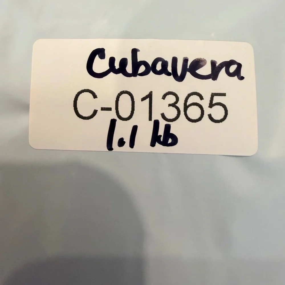 Cubavera Mens Large Black Linen Blend Drawstring Elastic Waist Pants 34